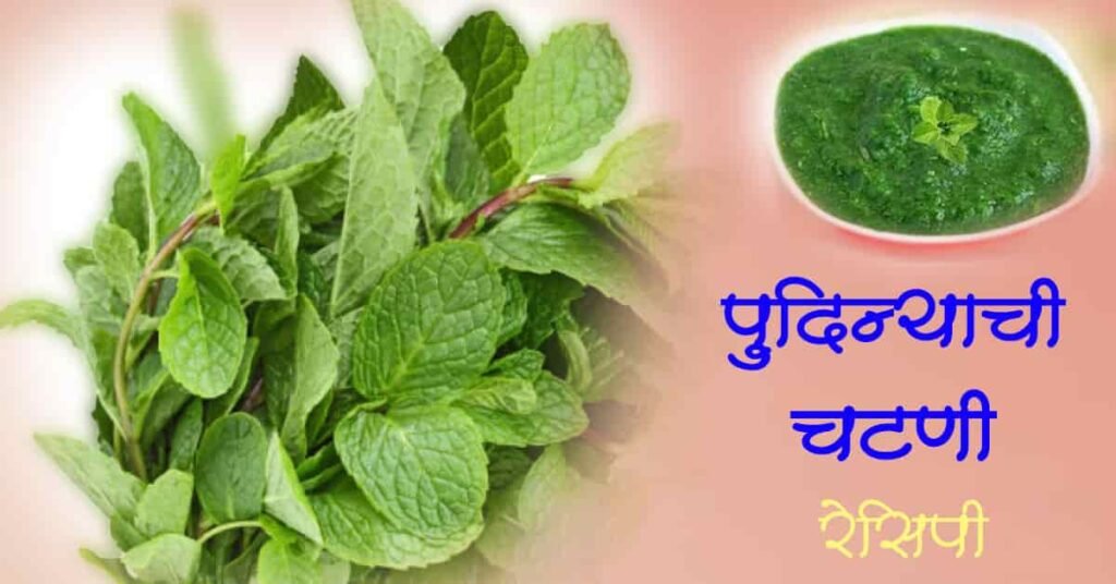 पुदिन्याची चटणी / पुदिना चटणी रेसिपी मराठी - विविध प्रकारची पुदिना चटणी कशी करायची (pudina chatani recipe in marathi)