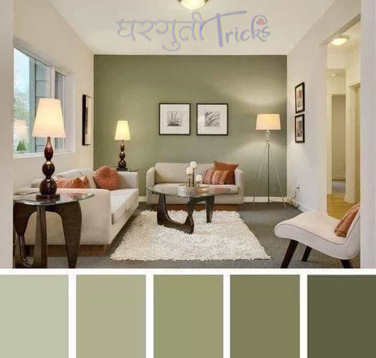 घराला कोणता रंग द्यावा - लिविंग रूमला दयावयाचा रंग