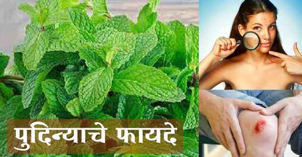 पुदिन्याचे फायदे / पुदिना खाण्याचे फायदे / पुदिना चे फायदे /mint leaves benefits / पुदिन्याचे उपयोग