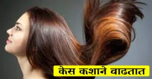 Read more about the article केस कशाने वाढतात – Top 8 Best Home Remedies for Hair Growth