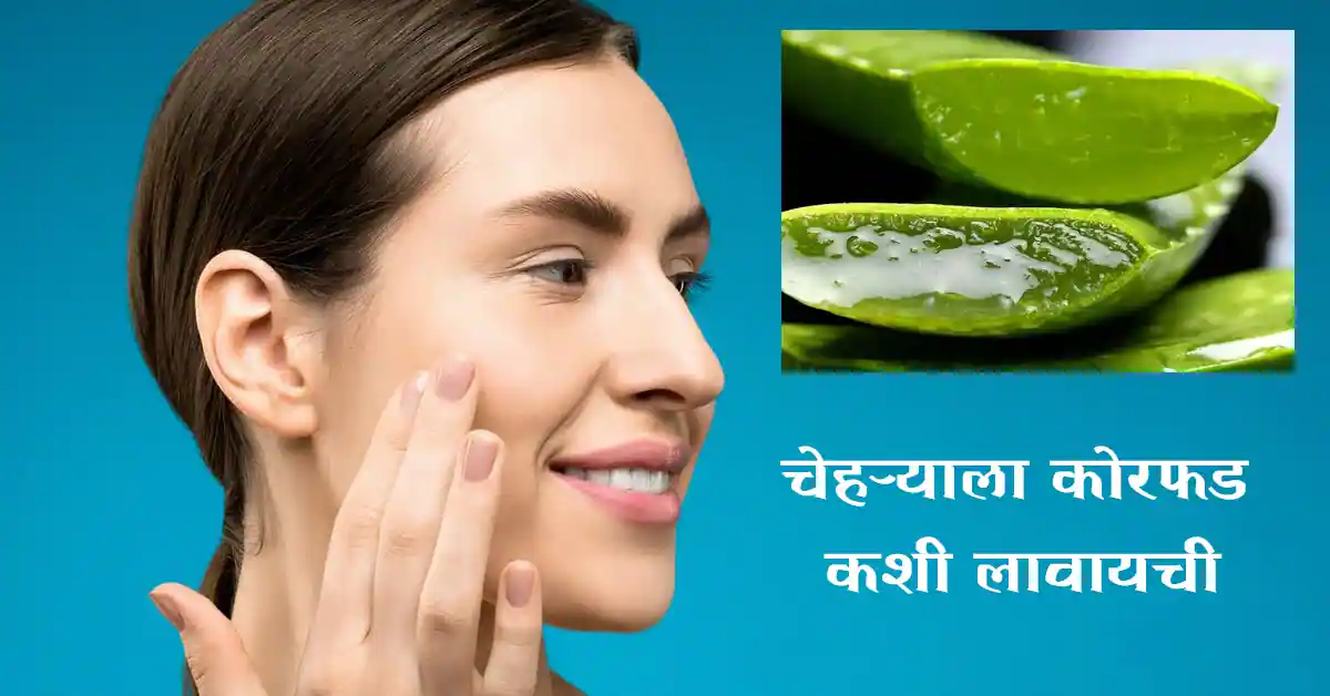 Read more about the article चेहऱ्याला कोरफड कशी लावायची – Top 7 Best Ways to Apply aloe vera on the face