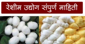 Read more about the article रेशीम उद्योग माहिती मराठी – 12 Main Steps & Government Grants