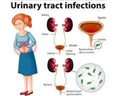 लघवी करताना त्रास का होतो/ युरिन इन्फेक्शन ची लक्षणे /urine infection home remedies in marathi 